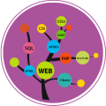 Learn Web Development 6.7