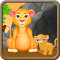Lion Baby Birth 6.9.5