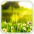 Spring Live Wallpaper icon