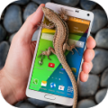 Lizard in phone 3.4