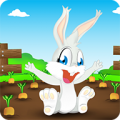 Looney Bunny Run icon