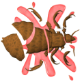 Louse Smasher icon