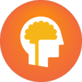 Lumosity icon