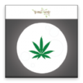 Lunar Calendar 3.0.2