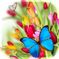 Butterflies Live Wallpaper 6.1