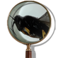 Magnifying Glass 1.21