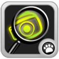 Magnifying Glass + Loupe icon