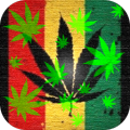 Marijuana Live Wallpaper icon