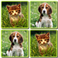 Matching Madness - Animals 2.9