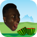 Melon Drop icon