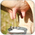 Milk Cow icon