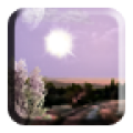 MMA D&N SAMPLE icon
