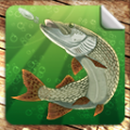 Mobile Russian Fishing 1.0.9.0-1454