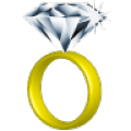 Wedding Planner icon