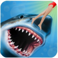 Angry Shark Simulator 3.1