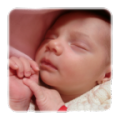 Mundo Bebe icon