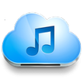 Music Paradise Pro icon