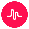 TikTok icon