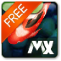 MXHome Live Theme KoiPond 2.2000.2