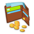 My Money icon