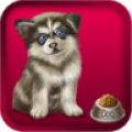 My Puppy icon