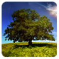 NaturePix HD icon