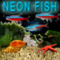 Neon Fish icon