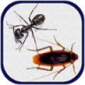 New Smash Ants 3.4.3