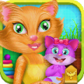 Newborn Kitten icon