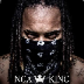 NGA icon