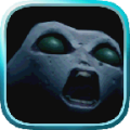 nicho icon