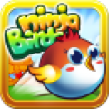 Ninja Bird icon