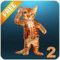Real Talking Cat icon