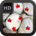 Ocean Pebbles Live Wallpaper icon