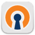 OpenVPN Settings icon