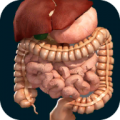 Organs 3D (Anatomy) 2.5