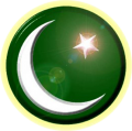 Pakistan TV icon