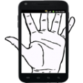 Palm Master icon