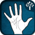 Palm Reader 3.1