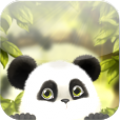 Panda Chub Live Wallpaper Free 2.0