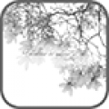 Paradise Go Launcher EX icon