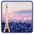 Paris Go Launcher EX 1.2