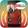 Parrot Call Talk icon