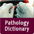 pathologydictionary icon