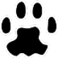 PAW Server icon