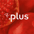 PC Plus icon