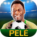 Pele: Soccer Legend icon