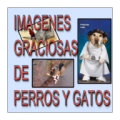 Perros y Gatos Graciosos icon