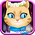 Pet Cat icon