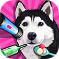 Pet Vet Doctor Animal Hospital 1.0.5.0